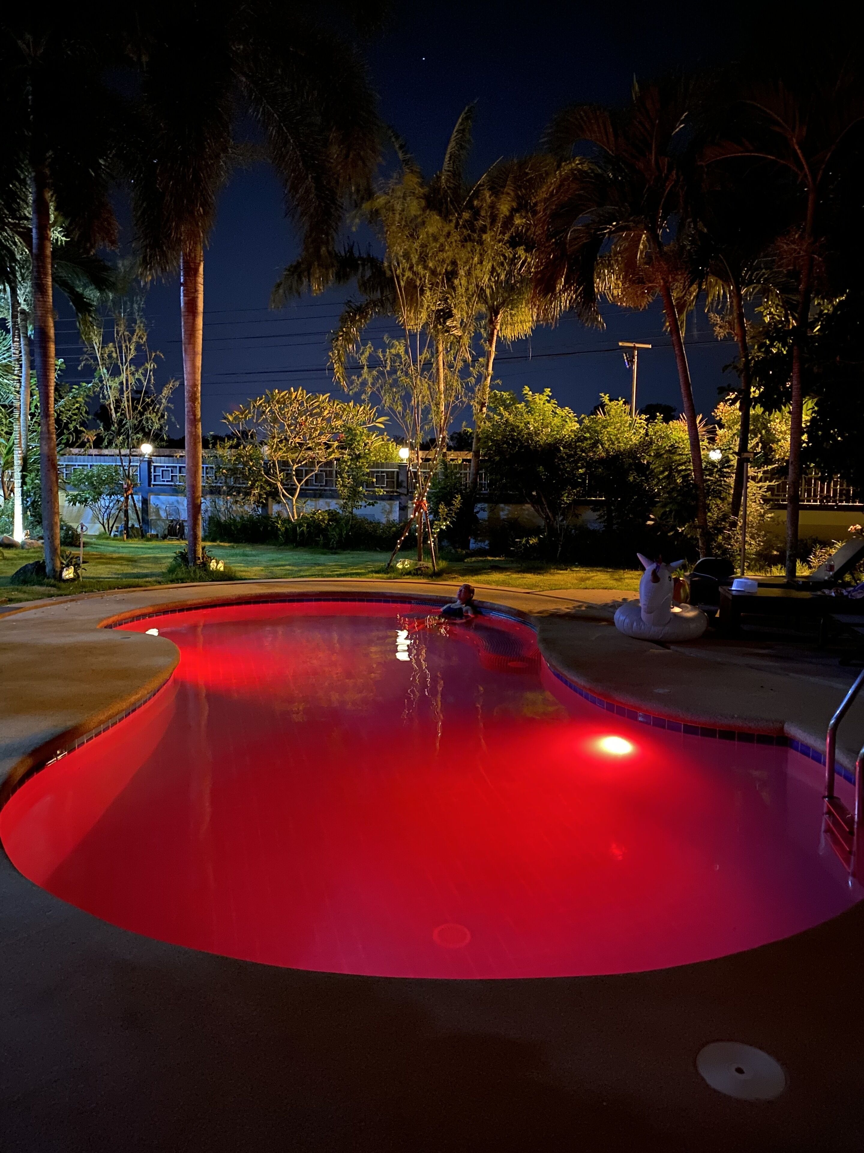 A swimming pool with a red hue, surrounded by palm trees and a fence.
