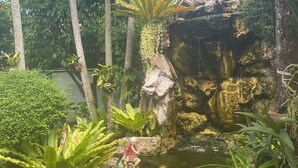 Un jardín con un estanque, rocas y diversas plantas.