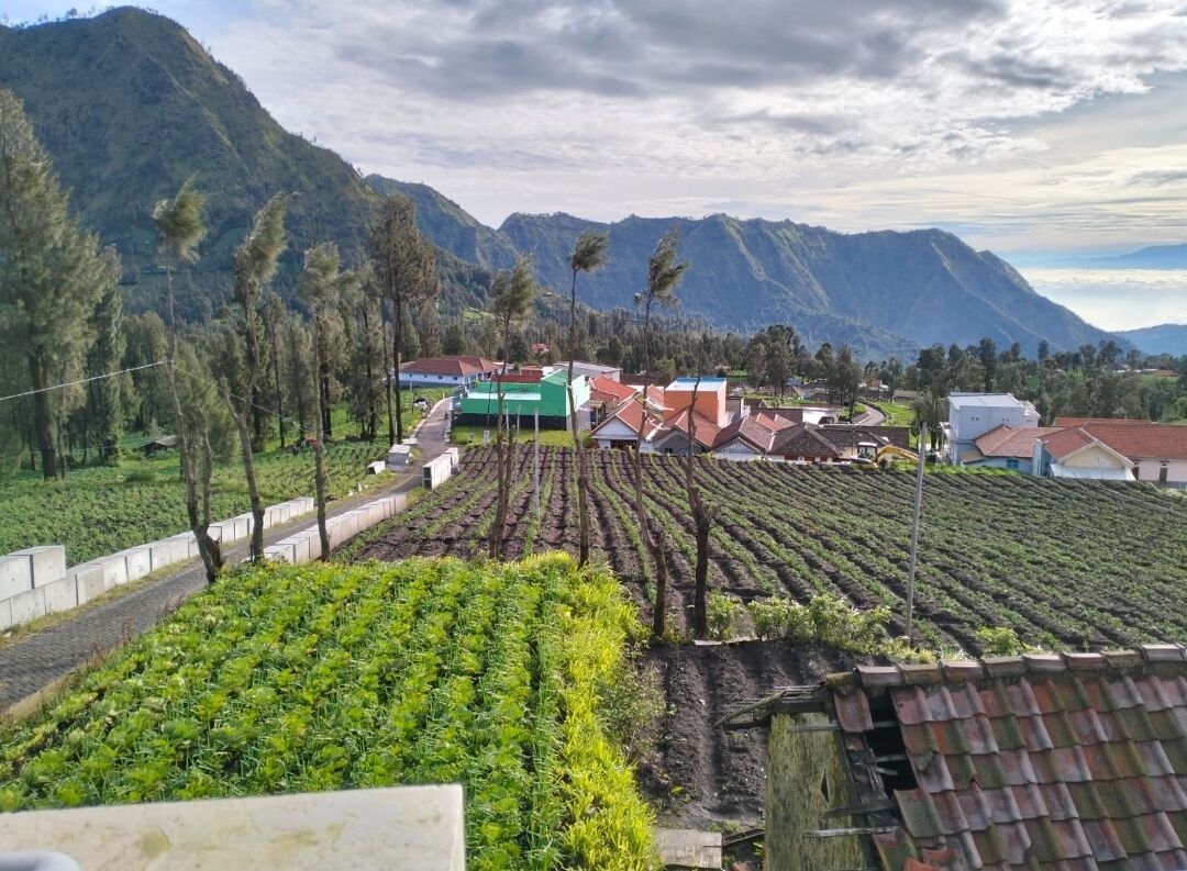 Un paysage rural caractérisé par des champs en terrasses, quelques bâtiments et des montagnes en arrière-plan.