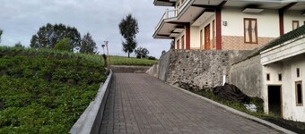 Bromo Seruni Guesthouse