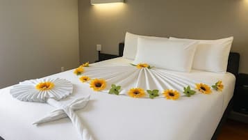 Skrivebord, blendingsgardiner, wi-fi (inkludert) og sengetøy