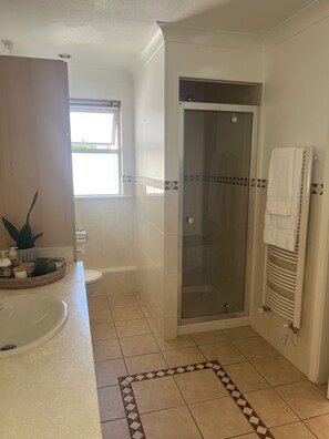 Hair dryer, towels, soap, shampoo