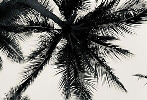 Détail de l’intérieur