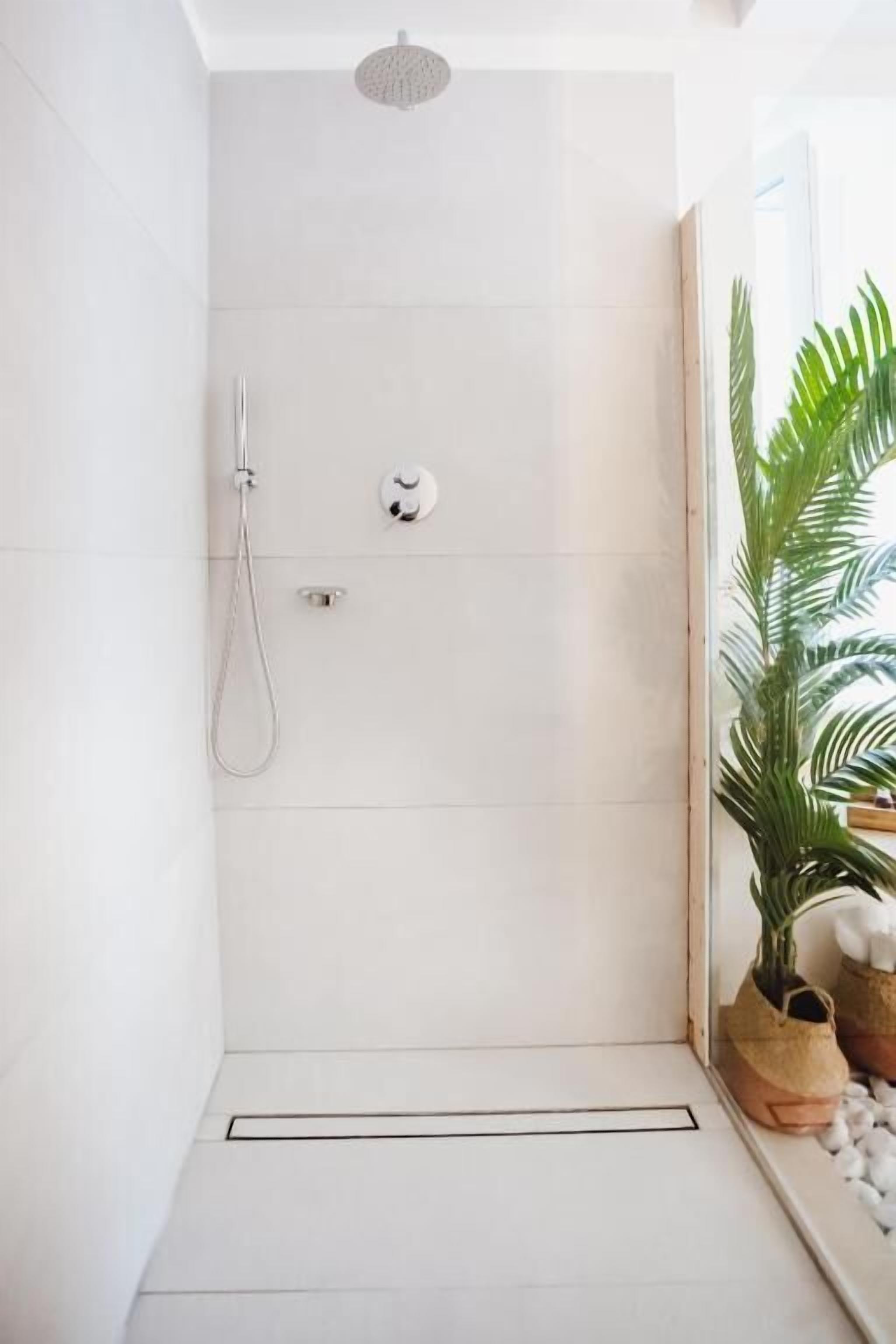 A modern bathroom with a shower, a toilet, and a sink. There is a potted plant and a mirror on the wall.