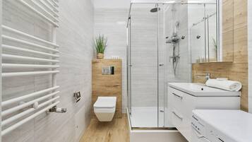 Shower, hair dryer, towels