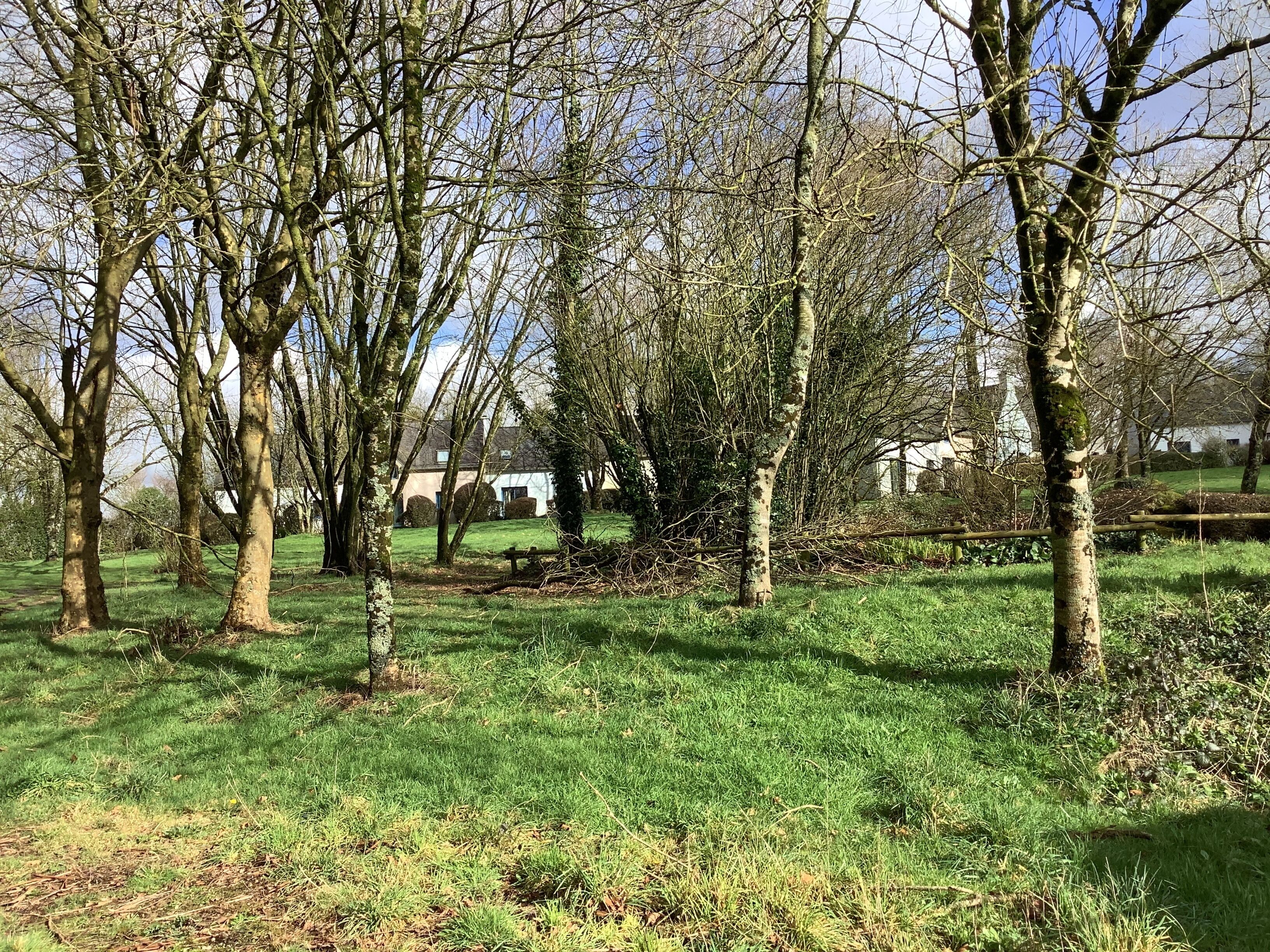A grassy area with trees and a building in the background.