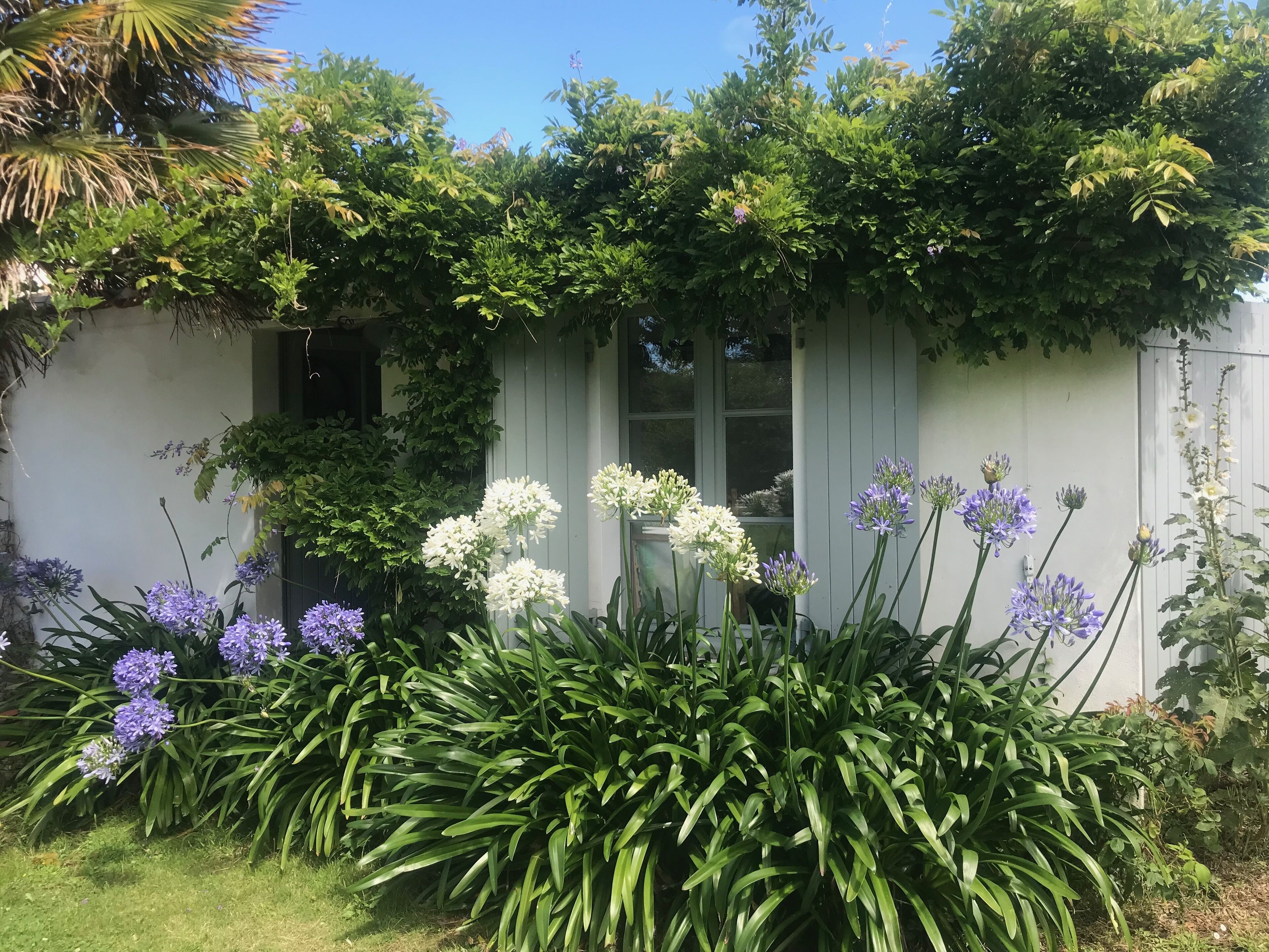 تفاصيل الفندق من الخارج