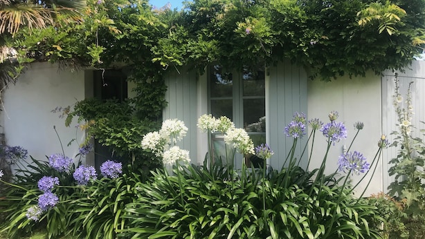 A garden with various plants and flowers, a white building with a window, and a clear blue sky. - Charming house close to the beach, (L'Île-d'Yeu)