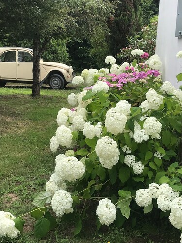 Maison de charme , proche de la plage ,