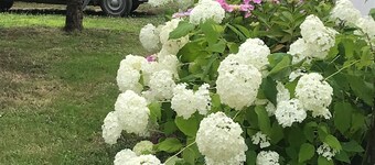 Charming house close to the beach,