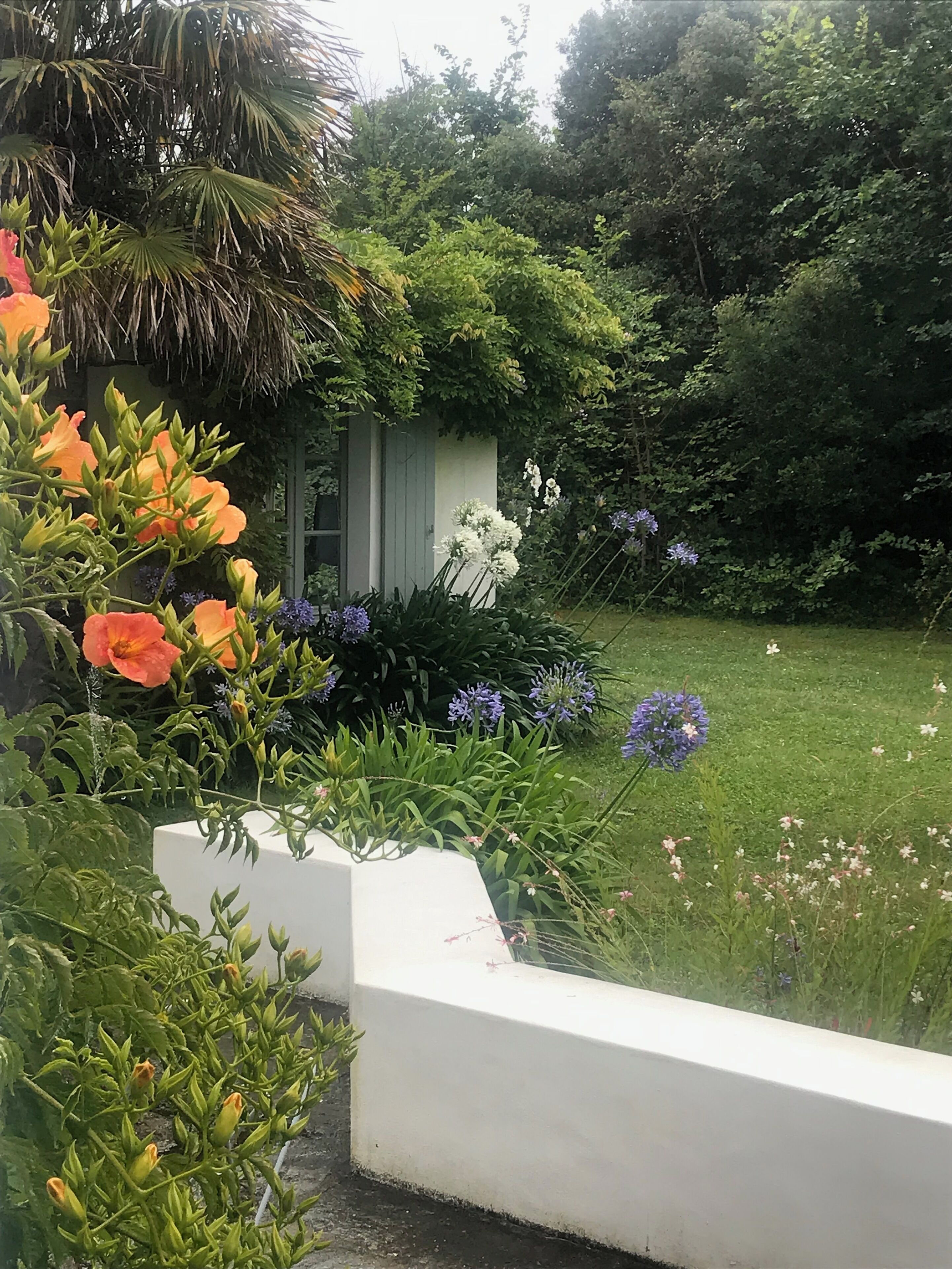 A garden with a variety of plants and flowers, a small white structure, and a grassy area.