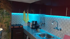Apartamento, 1 quarto, terraço, vista para o lago | Cozinha privada