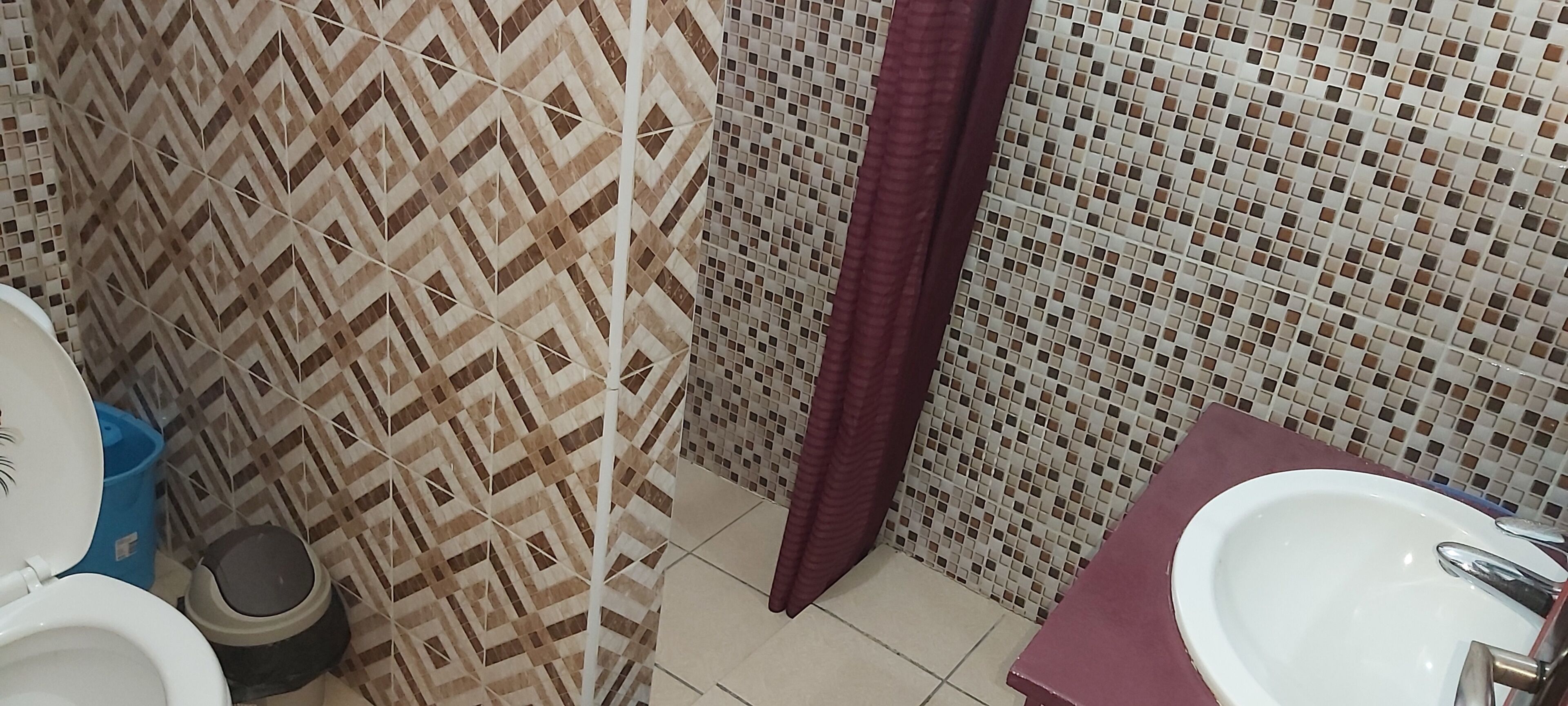 A bathroom with patterned tiles, a toilet, a sink, and a shower curtain.