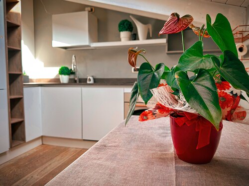 Room in Apartment - The Sweet Attic of Lu in the Historic Center