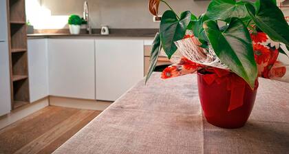 Room in Apartment - The Sweet Attic of Lu in the Historic Center