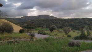 A stone pathway leading through a natural landscape with hills and scattered trees. - Room in B&B - "note di Stelle" Resort in Marrubiu (Marrubiu)