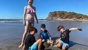 A beach scene with a group of people, including children and adults, engaging in various activities. - Room-appartment Rodolfo Historical Centr (Mazatlán)