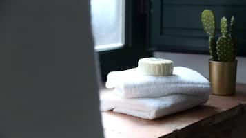 Apartment, 1 Bedroom, Balcony, City View | Miscellaneous