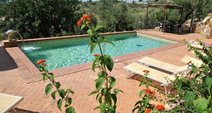 Holiday House for 6 Persons, With Swimming Pool