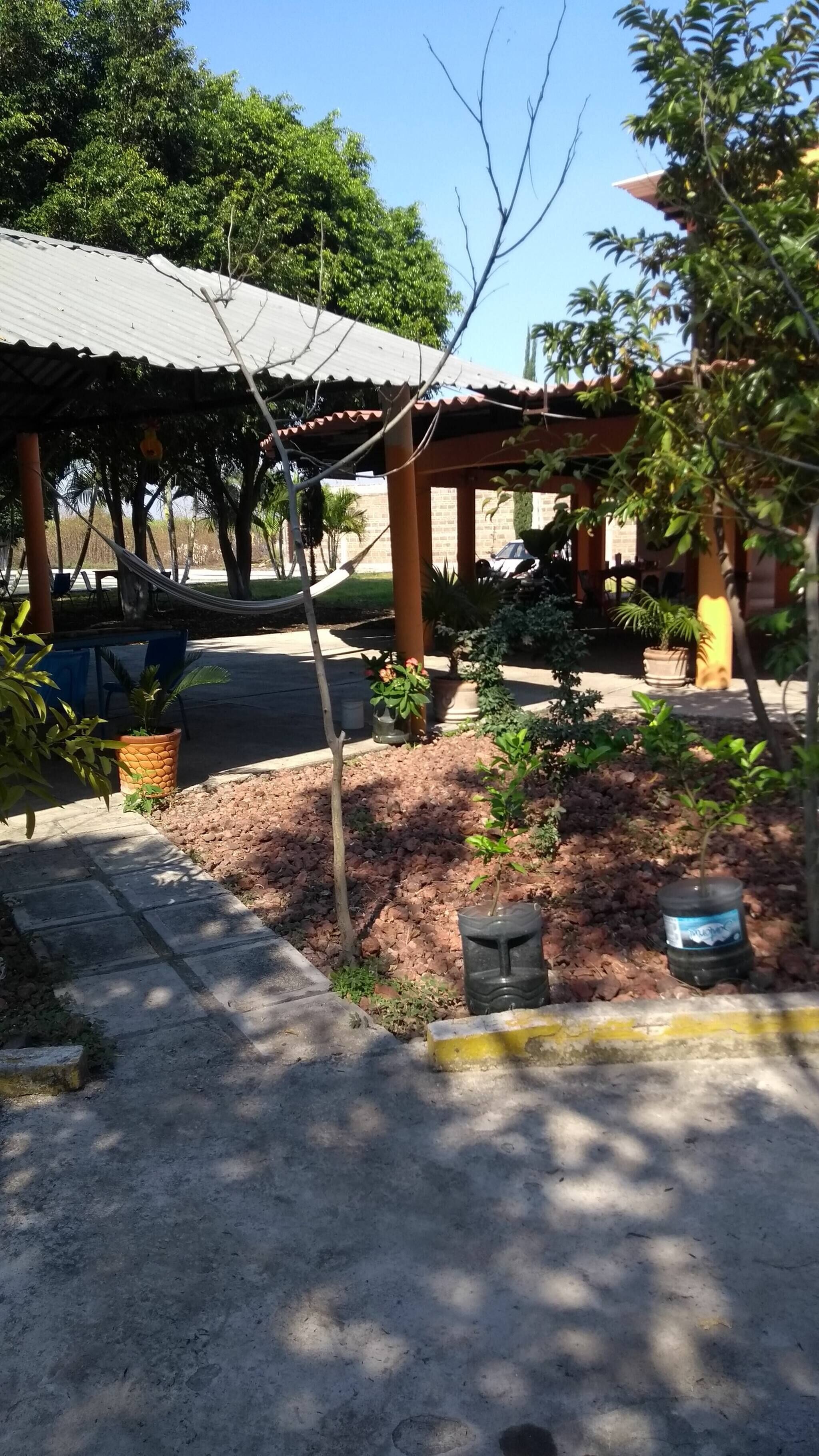 Jardin