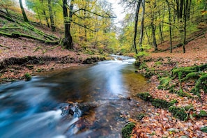 Loft, Multiple Bedrooms, Smoking, Patio | Exterior - West Hollowcombe Farm Cottages - Full Si (Dulverton)