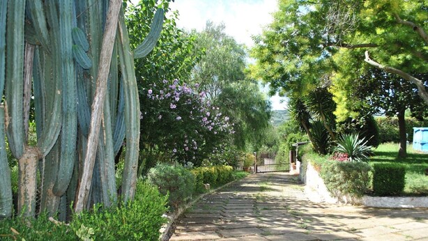 Vila, 5 quartos, piscina particular, vista para o jardim | Jardim