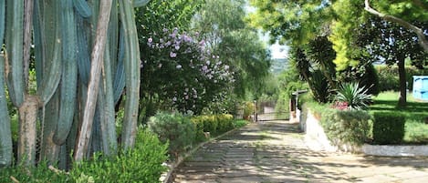 วิลล่า, 5 ห้องนอน, สระว่ายน้ำส่วนตัว, วิวสวน | สวน