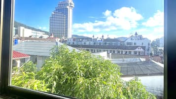 City view from property