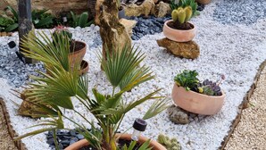 Un jardin agrémenté de diverses plantes en pot et doté d’un mur en pierre.