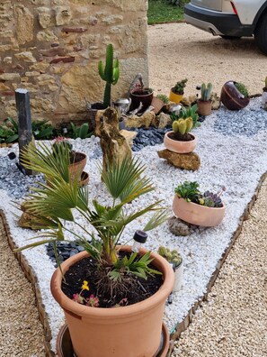 المنطقة المحيطة بالمنشأة