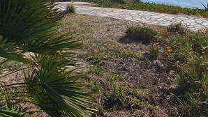 A coastal landscape with a paved walkway, a building with a tiled roof, and a view of the sea.