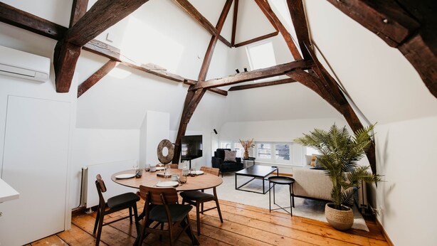 A dining area with a wooden table and chairs, a television, and a potted plant. - Gorgeous Duplex Apartment in old City Centre (Antwerp)