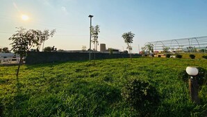 Um campo gramado com um lampião solar, uma pequena árvore e uma cerca de metal ao fundo.