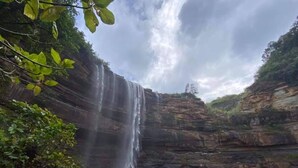 Uma cascata desce por um penhasco rochoso para uma piscina calma, rodeada por vegetação.