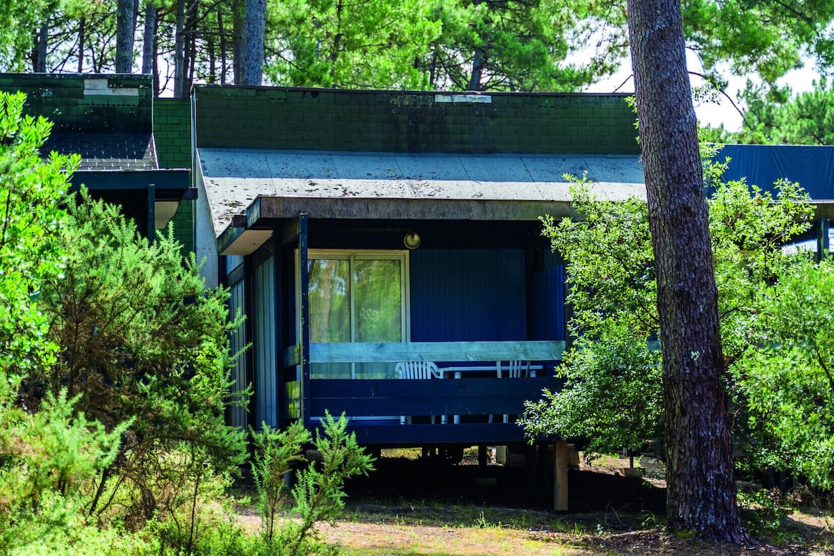 A cabin-like structure with a large window, surrounded by dense greenery and trees.