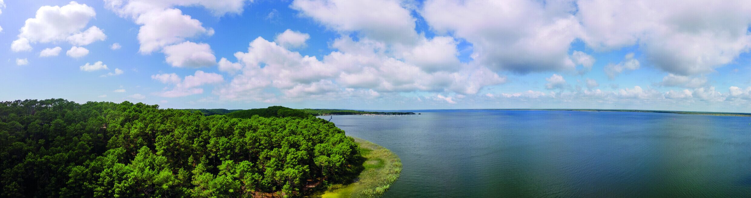 A coastal landscape with dense green forest and a calm sea under a partly cloudy sky.