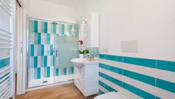 Shower, hair dryer, bidet, towels