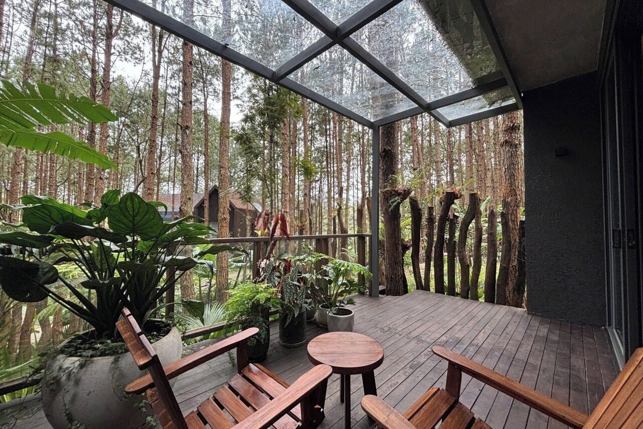 Una terraza de madera con sillas y mesas, rodeada por un cerramiento de cristal, con vistas a un bosque.