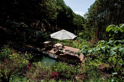 Mơ Stay Forest Resort