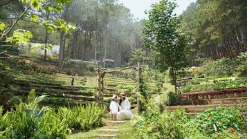 Hoạt động cho trẻ em