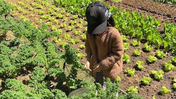 兒童活動