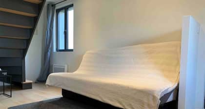 Duplex proche Zénith, Mégacité, stade de la licorne, CHU