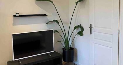 Duplex Proche Zénith, Mégacité, Stade de la Licorne, CHU