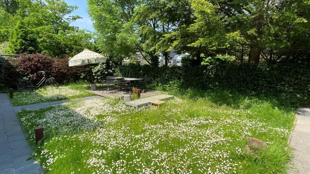 A garden area with a patio table and chairs, surrounded by lush greenery and white flowers.