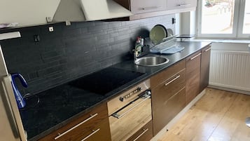 Apartment | Private kitchen | Fridge, microwave, oven, stovetop