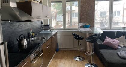 Charming Apartmemt in Stockholm City