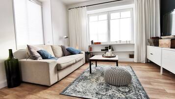 Télévision, cheminée, livres, chaßne hi-fi