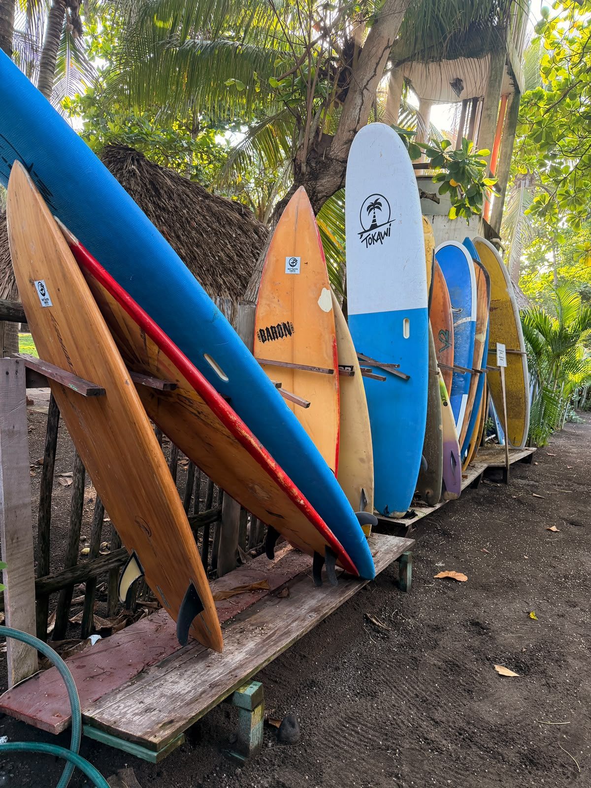 A row of surfboards leaning against a wooden structure in a tropical setting.