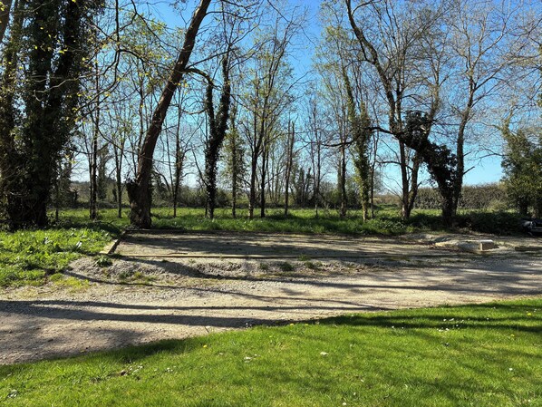 A campground with a dirt path leading to a picnic area surrounded by trees and grass.
