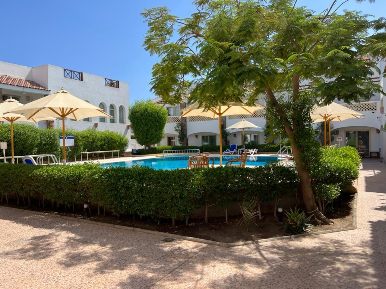 Foto - Camel Dive Club & Hotel - Boutique Hotel